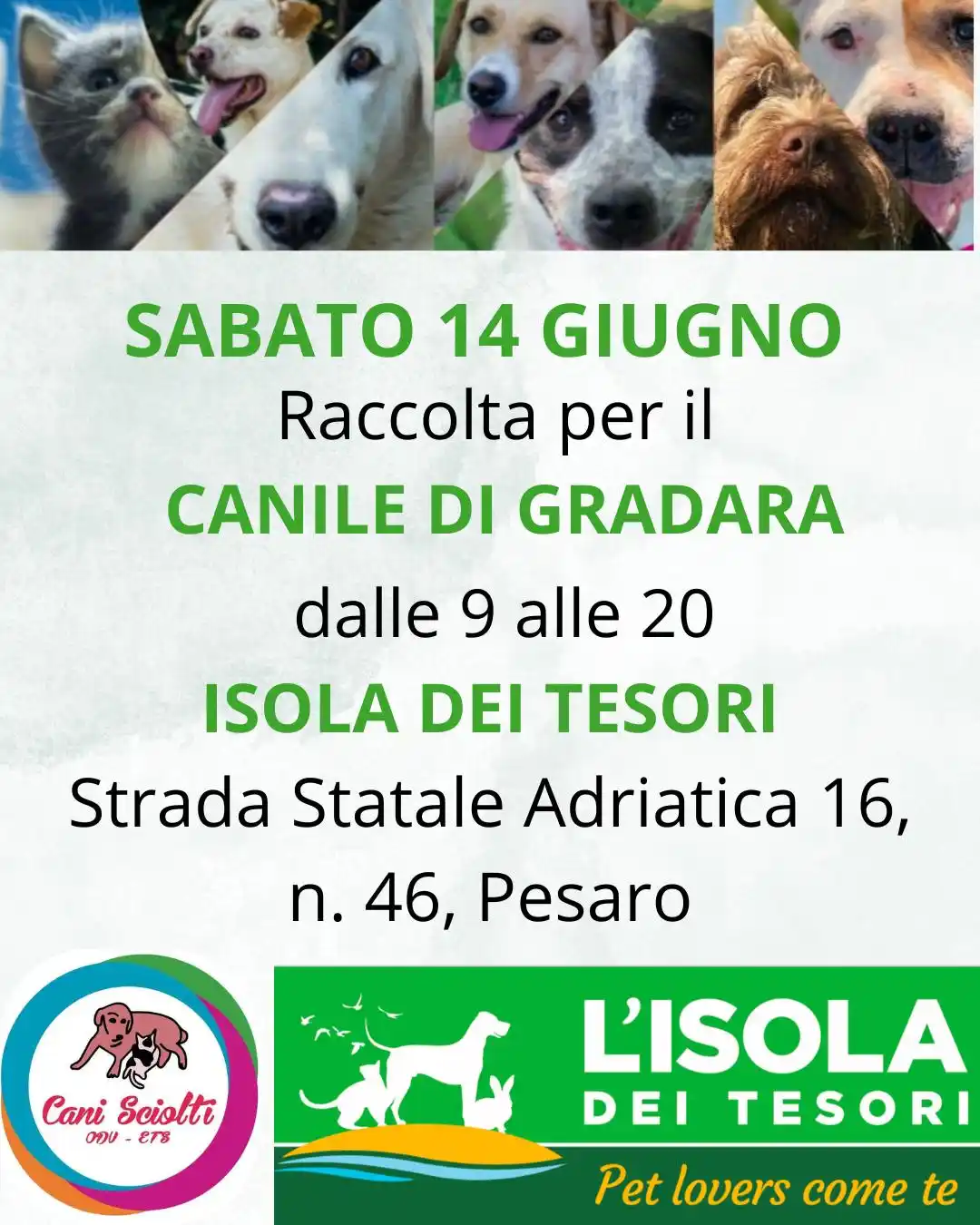 Image from Vivere Pesaro: *🐾 RACCOLTA ALIMENTARE PER IL CANILE DI GRADARA CANI SCIOLTI🐾* _🗓️...