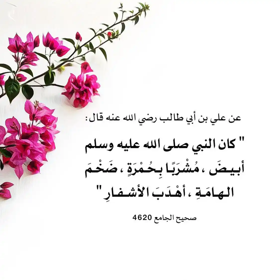 Image from العلـ📚ـــم نور : السلام عليكم ورحمة الله وبركاته   -•✵ <a class="text-blue-500 hover:un...