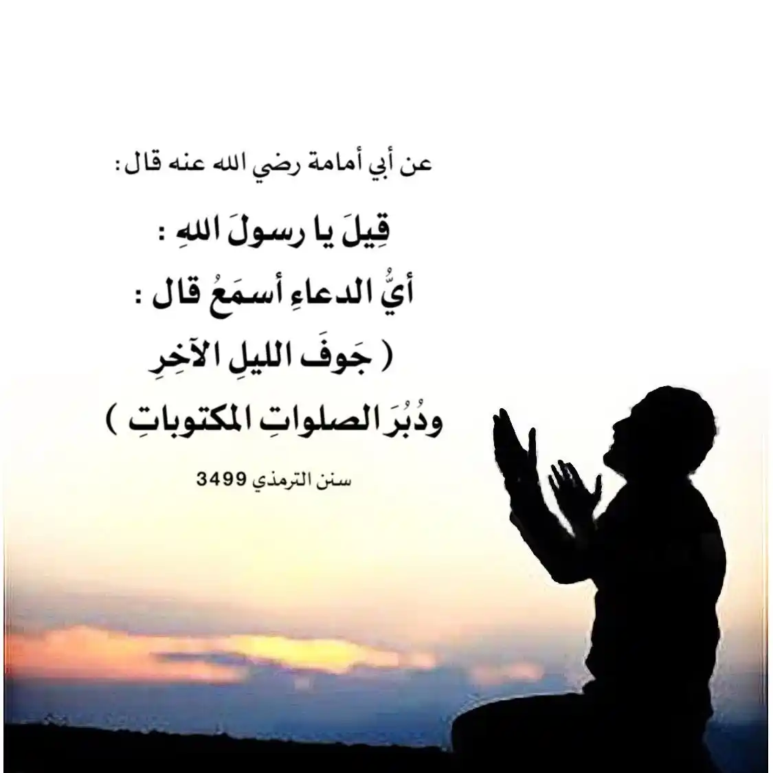 Image from العلـ📚ـــم نور : السلام عليكم ورحمة الله وبركاته -•✵ <a class="text-blue-500 hover:un...
