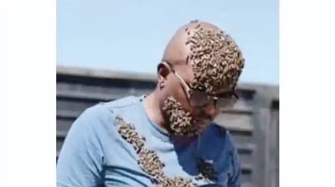 Image from The Voice Online News: *Bees Sangoma under fire* https://thevoiceonlinenews.com/yaj7 ________...