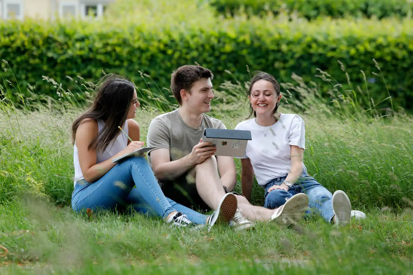 Image from Uni Hohenheim : 🎓 *Du willst den Wandel gestalten für eine nachhaltige Zukunft?* Dan...