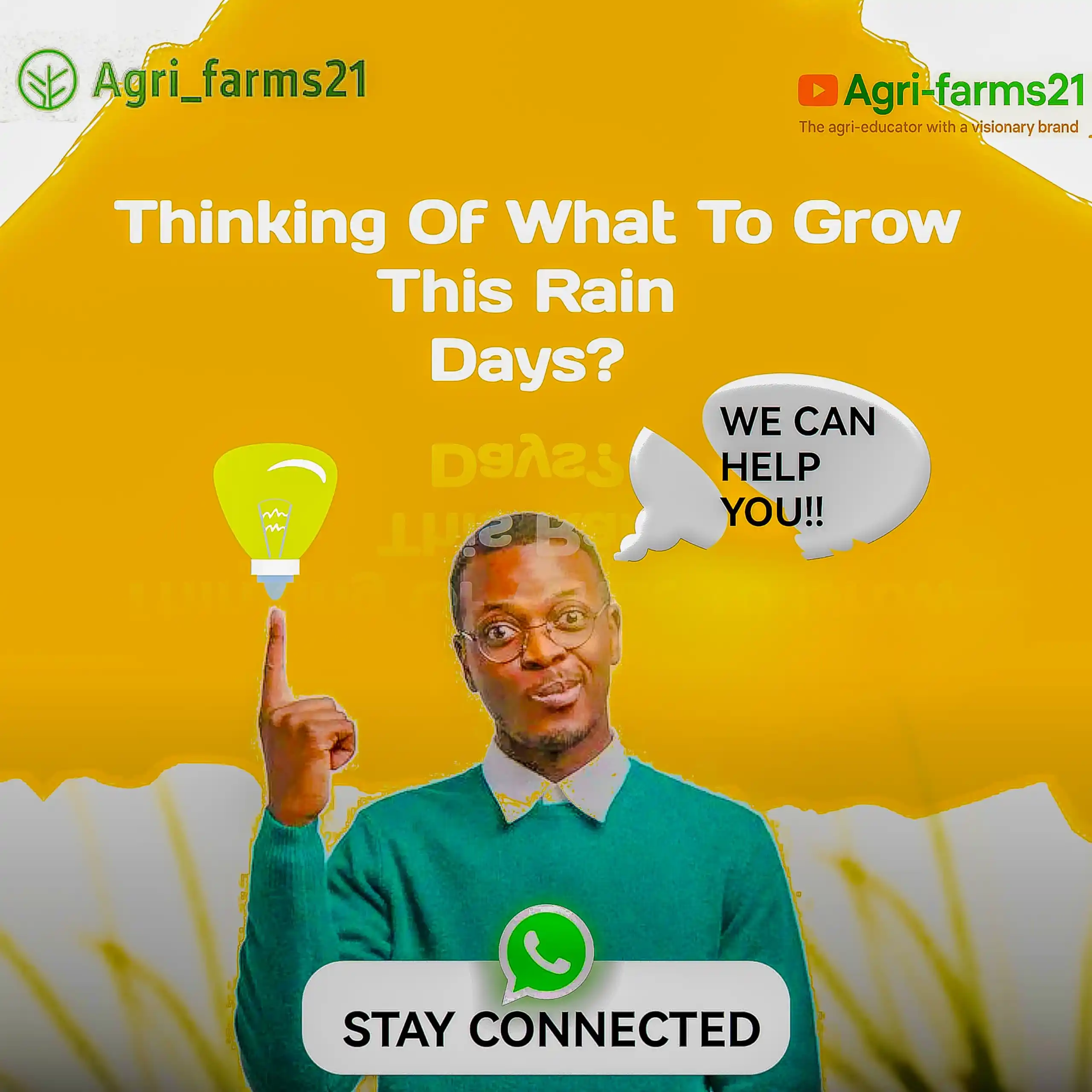Image from AGRI_FARMS21: During the rainy season, farmers should focus on crops that thrive wit...