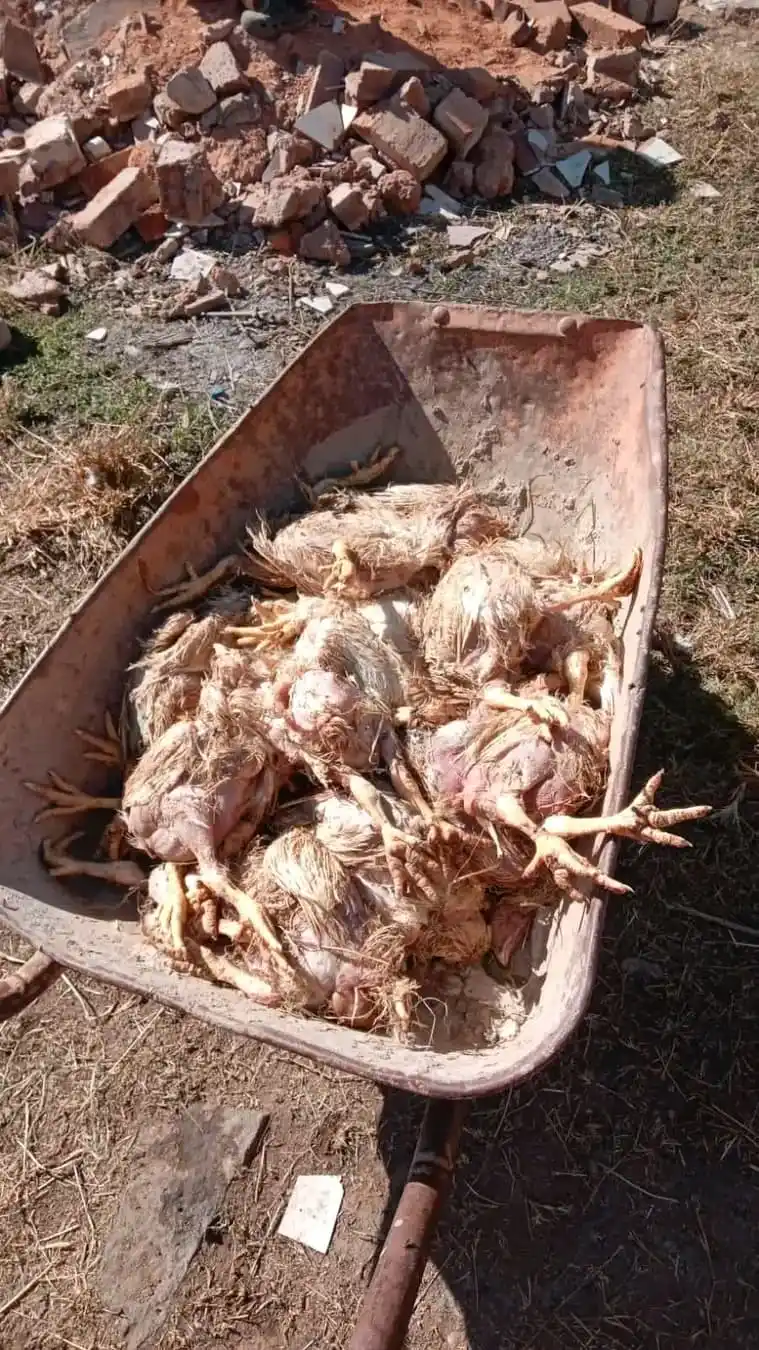 Image from AGRI_FARMS21: I came across this post and I felt really bad about it. Don't hope ...