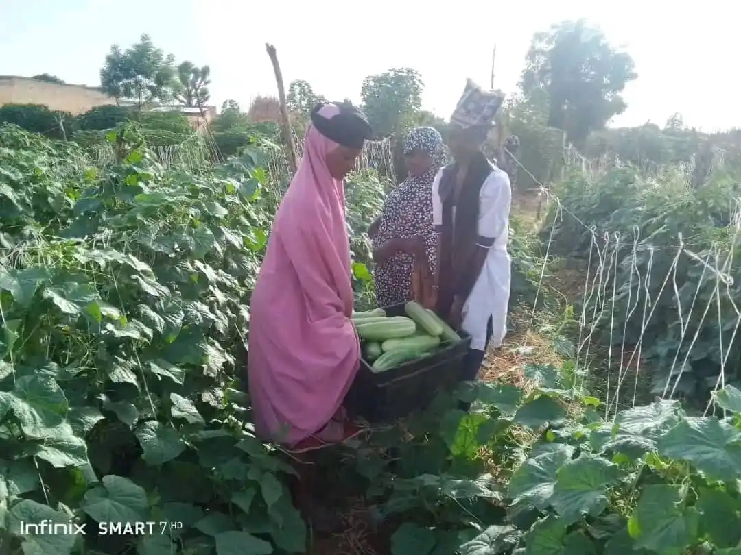 Image from AGRI_FARMS21: IT IS GETTING INTERESTING Today, after harvesting some fresh food st...