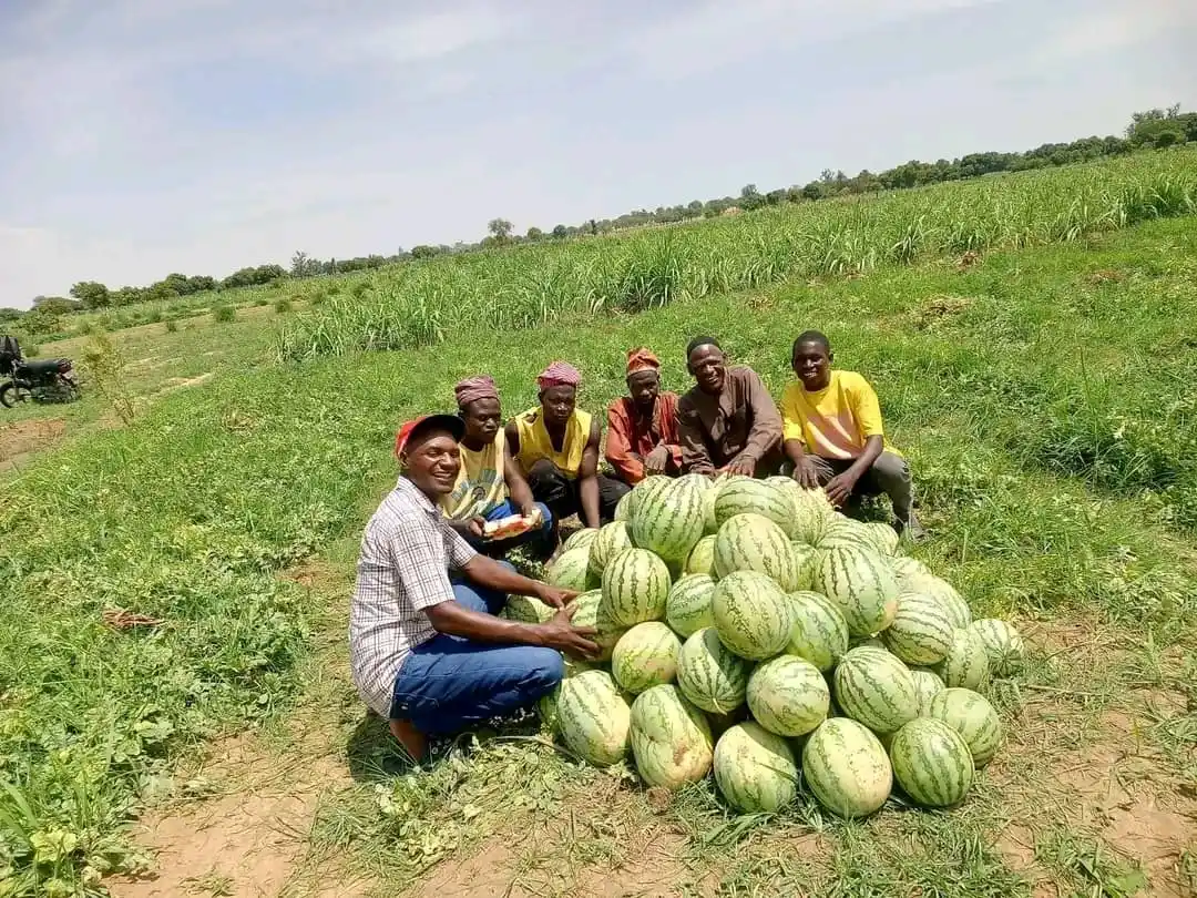 Image from AGRI_FARMS21: IT IS GETTING INTERESTING Today, after harvesting some fresh food st...
