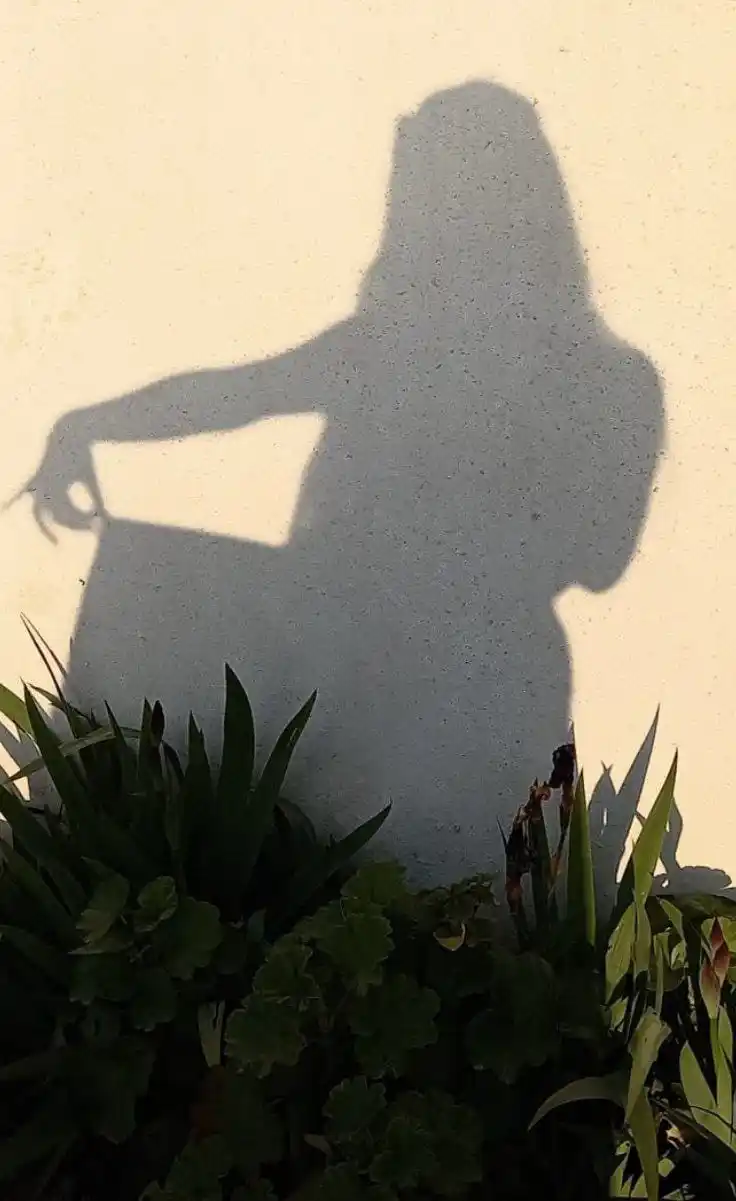 حالات واتساب🌸 ستوريات صور اشعار رمزيات تحشيش قصص صور بنات post