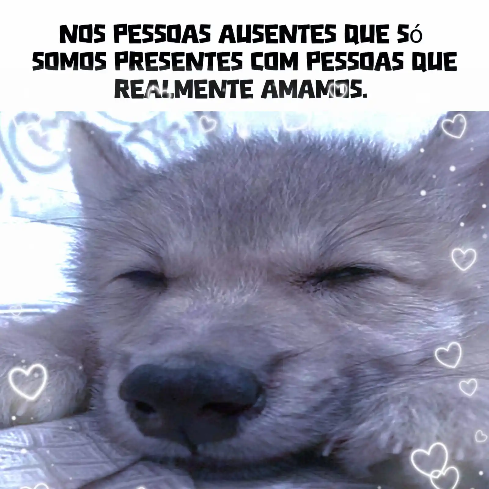 ⌗ 𓏲 𝓘'𝓶 𝓓𝚎𝚊𝚍.⊹ ˙ ܀ ˓ 𐀔 post