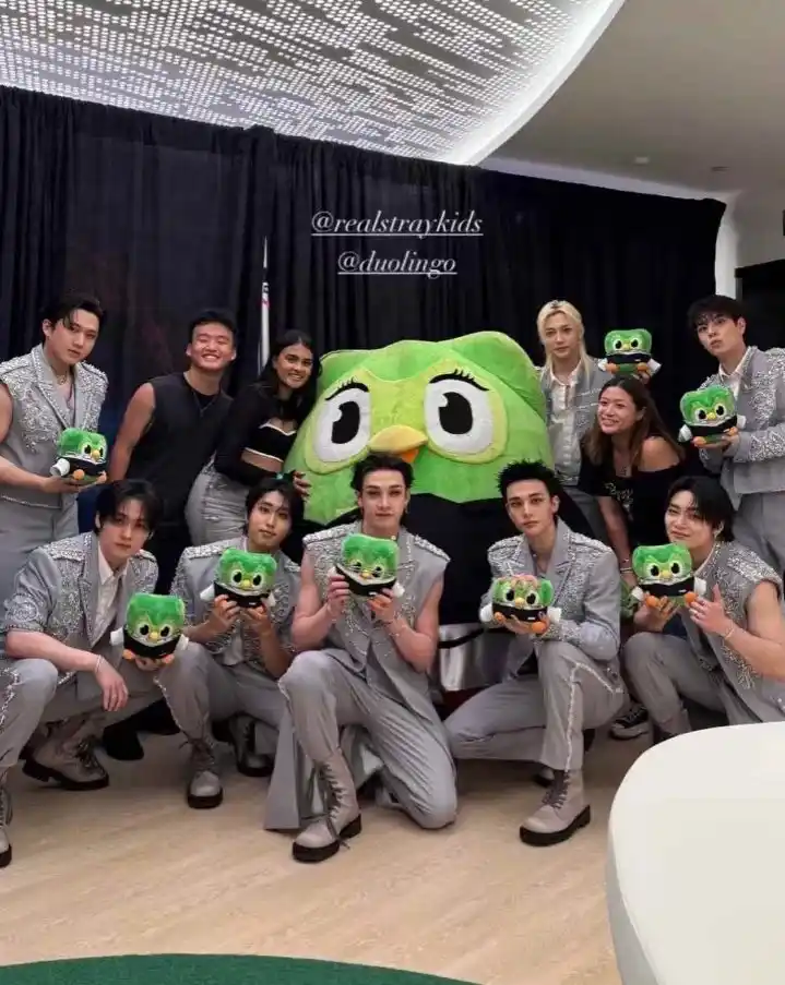 Image from STRAYKIDS UPDATES: Stray kids with duolingo 💚 after <a class="text-blue-500 hover:underl...