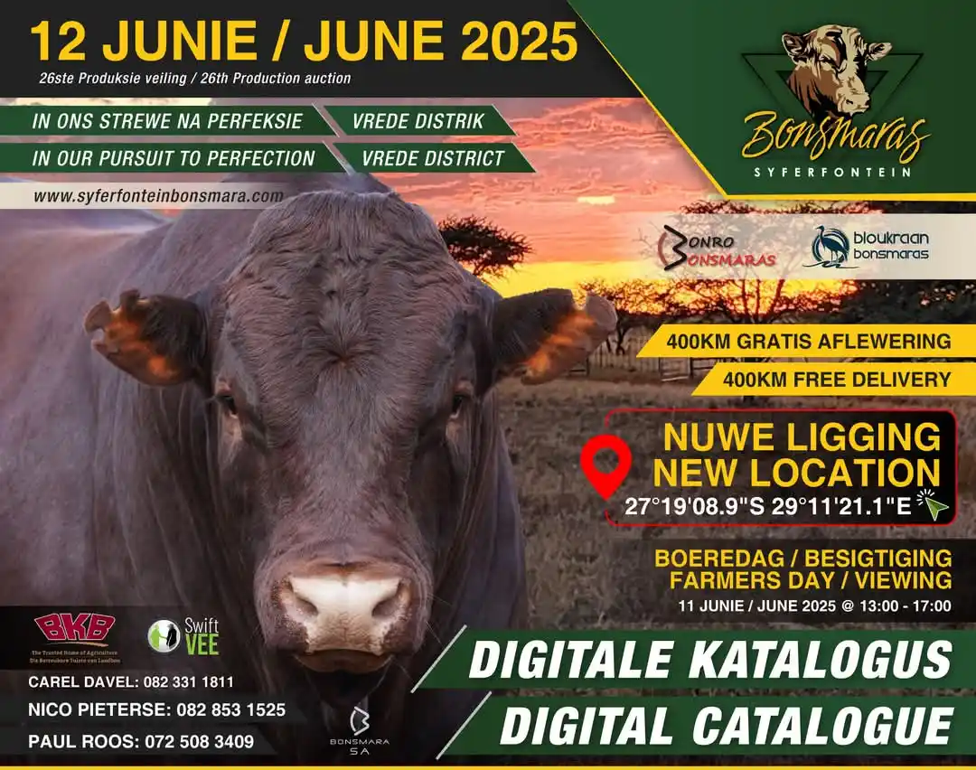 Image from Gatsheni Livestock Breeding: Syferfontein Bonsmaras looks forward to welcoming you to their 26th pr...