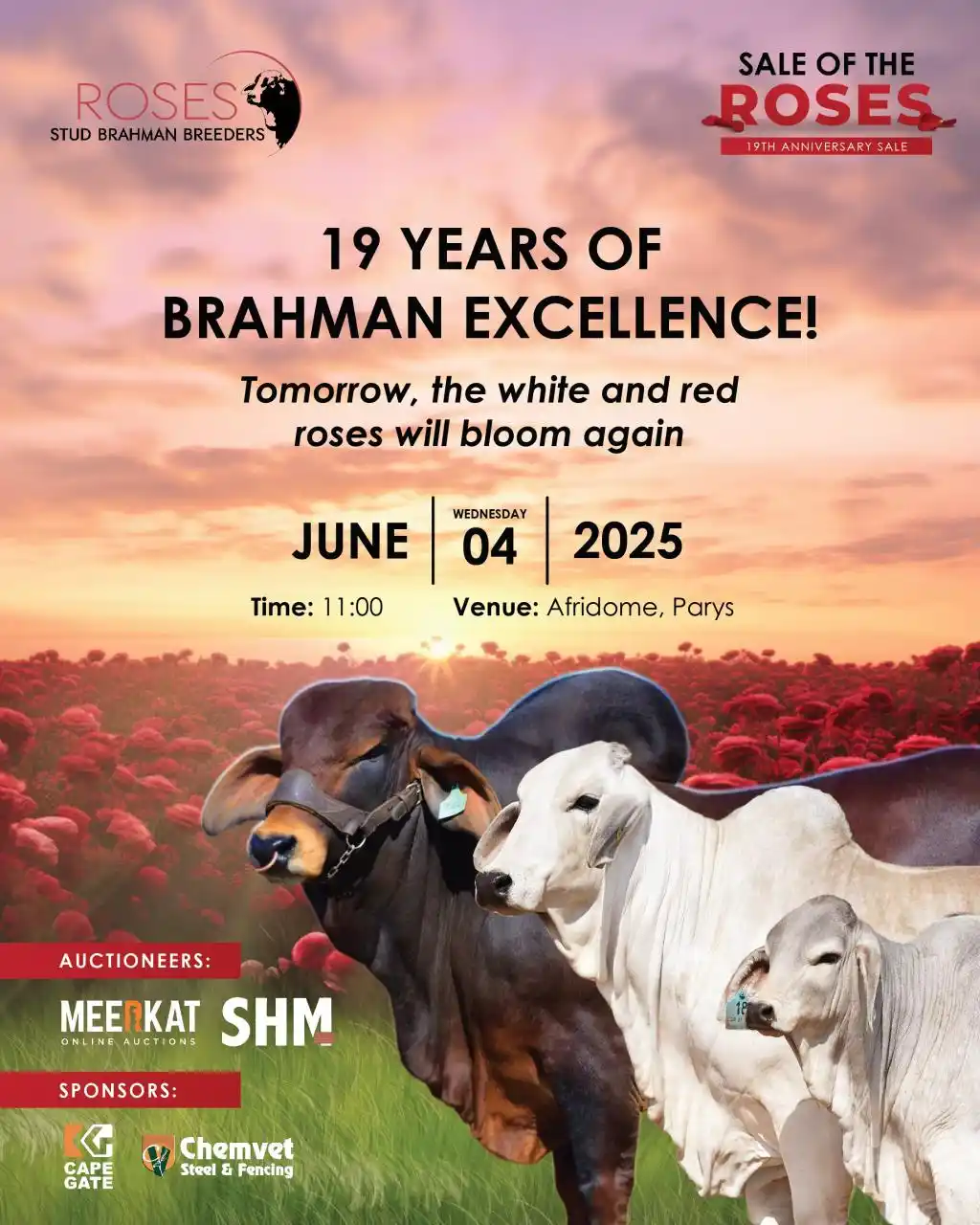 Image from Gatsheni Livestock Breeding: Tomorrow, our red and white roses will bloom for the 19th time.🌹 In...