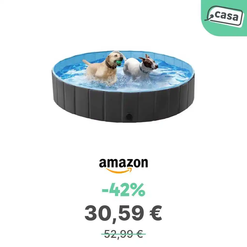 Image from offerte.club: *Yaheetech Piscina Cani Pieghevole Antiscivolo PVC Esterno Interno 160...