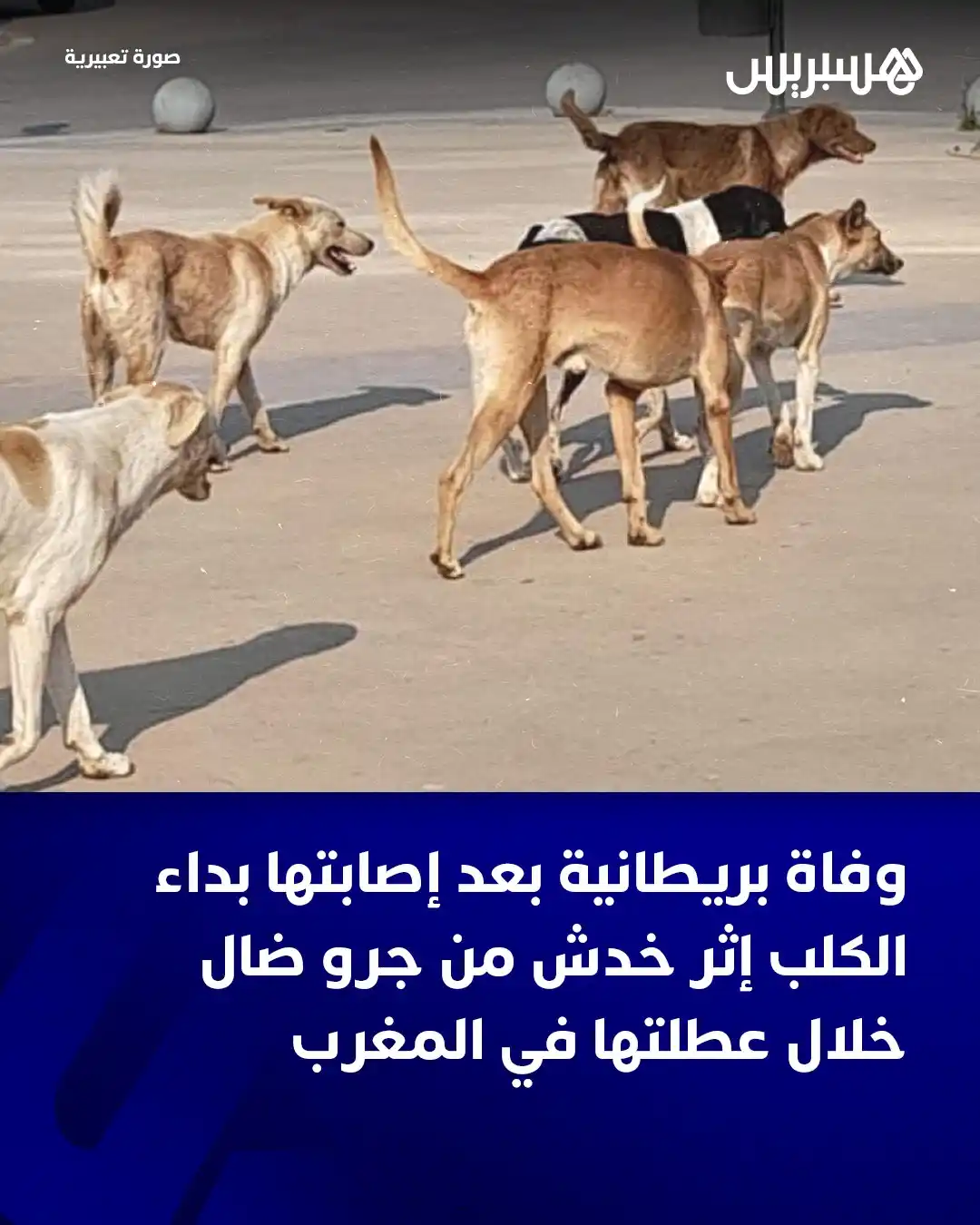 Image from Hespress - هسبريس: أعلنت وكالة الأمن الصحي البريطانية (UKHSA) عن وفاة امرأة من مقاطعة يور...