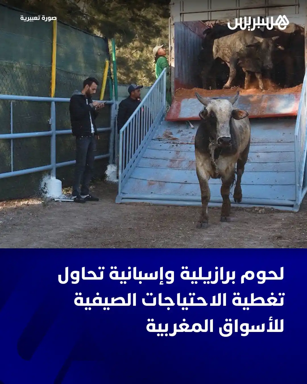 Image from  Hespress - هسبريس: علمت جريدة هسبريس الإلكترونية، من مصادر مهنية في قطاع استيراد وتسويق ا...