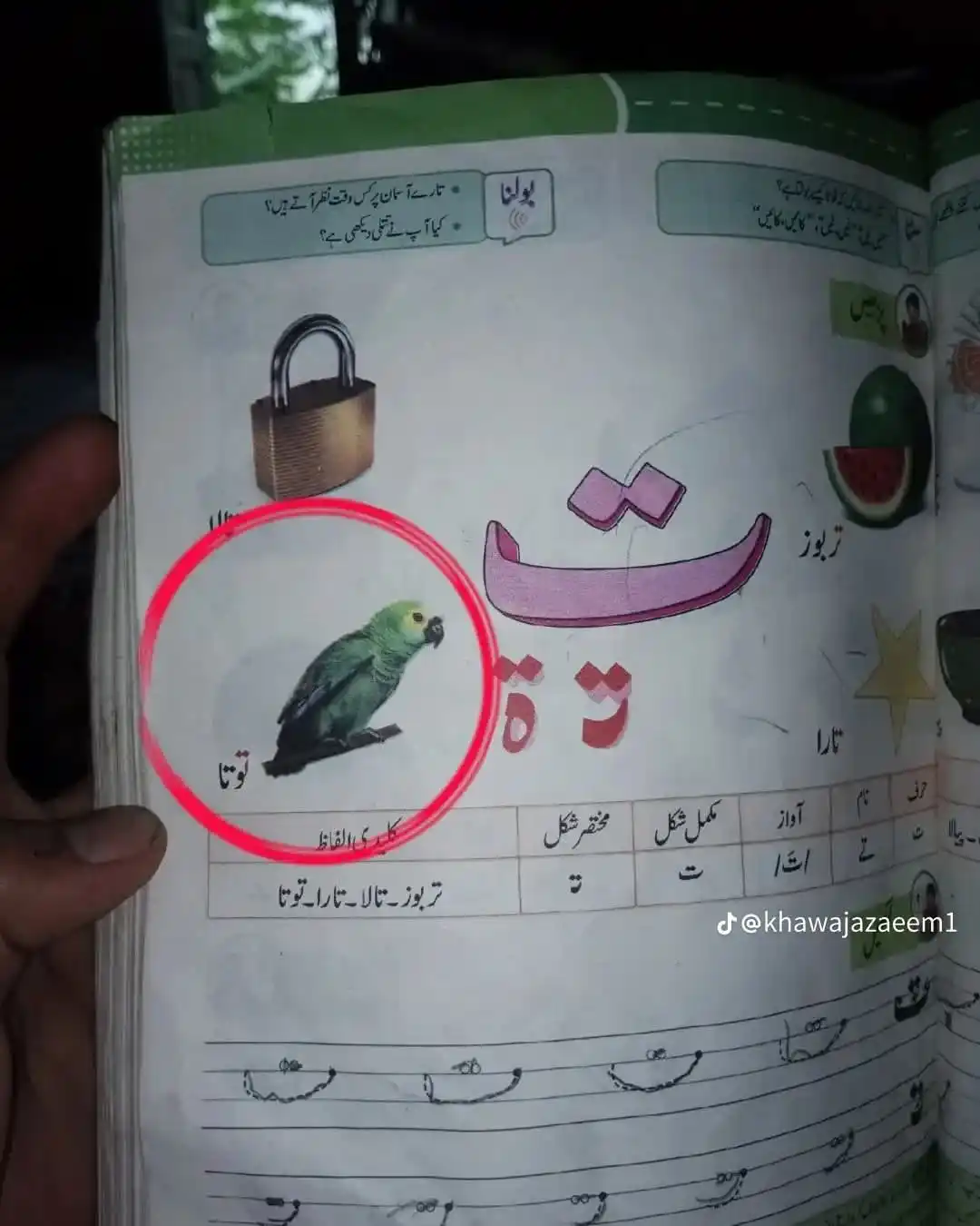 Image from University Guide Pakistan (OFFICIAL) 🇵🇰 🎓: اس نفس نفسی کے دور میں طوطا گریڈ۔ ط سے ترقی کرنے کے بعد گریڈ ت تک آگیا...