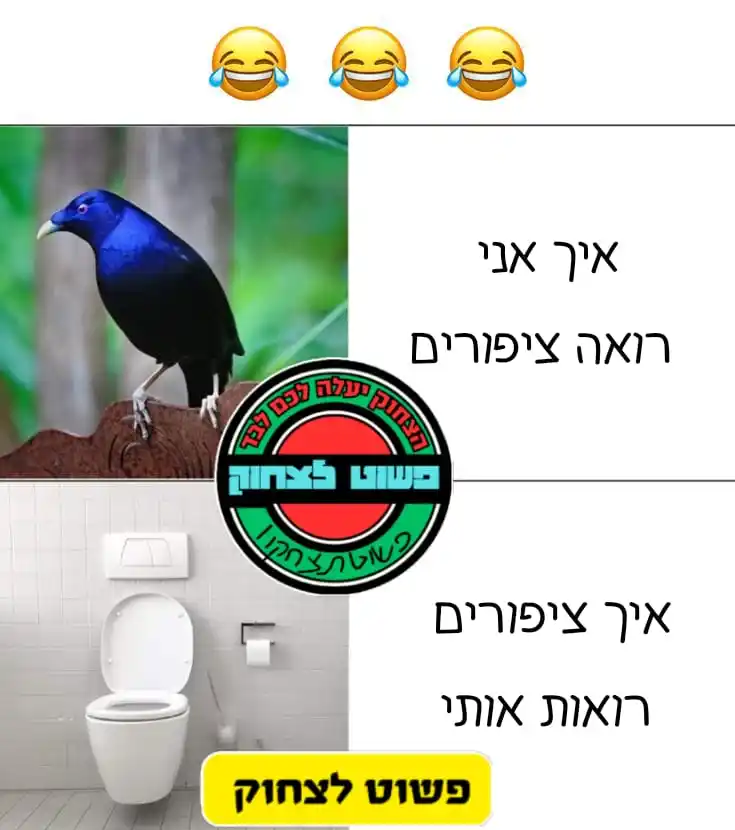 Image from פשוט לצחוק😂😅🤠: בוקר טוב המבין יבין קצת לחשוב על הבוקר...