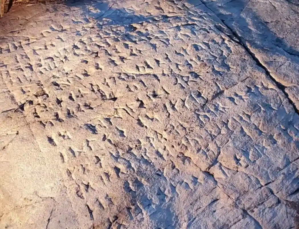 Image from Historia National Geographic: 🔎*CURIOSIDADES DE LA HISTORIA*🔍  🪨 Hace años años, en Ontario (Cana...