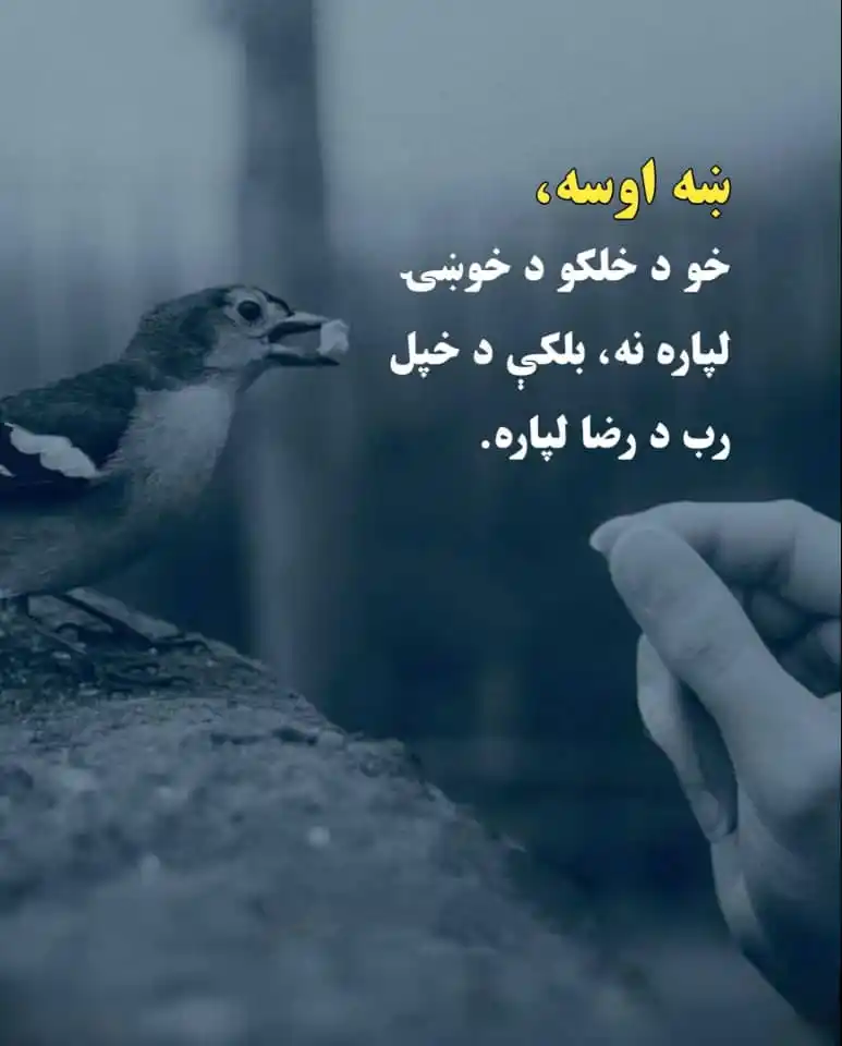 Image from 🩺 ډاکټر حنیف طبي معلومات ✅️: *دا عکس تاسي ټول 92 زره کسان لائیک کئ ، عکس او لینک خپلو ټولو ملګرو ته...