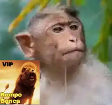 Image from ROMPE BANCAS (OFICIAL): *En Florida día salió 33 por cábula Mono 🙈* *# para mono 🙉* 04 16 ...