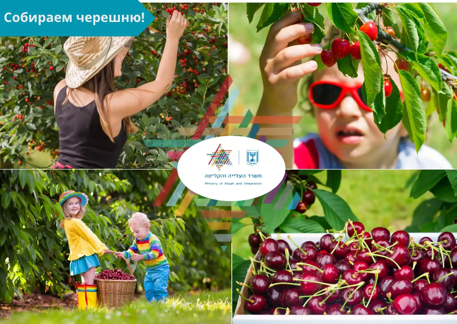 Image from Министерство алии и интеграции: *Пять прекрасных мест, где можно насладиться вкусными ягодами* 🎉 Ура...