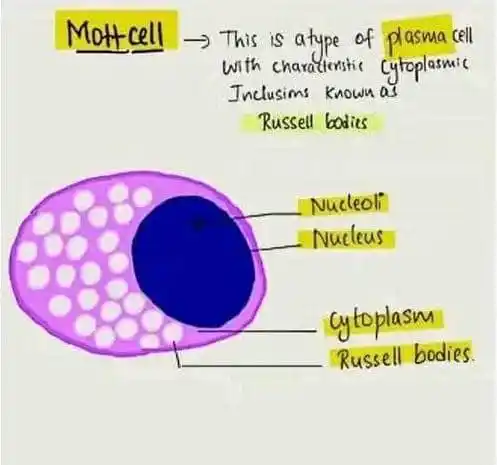 🔬Forum of Clinical Laboratories💉 post