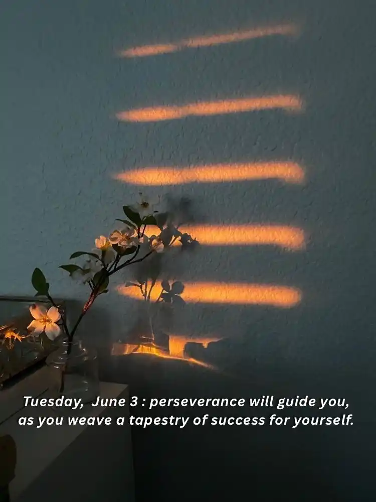 Lyri's Lyrics 💫 post