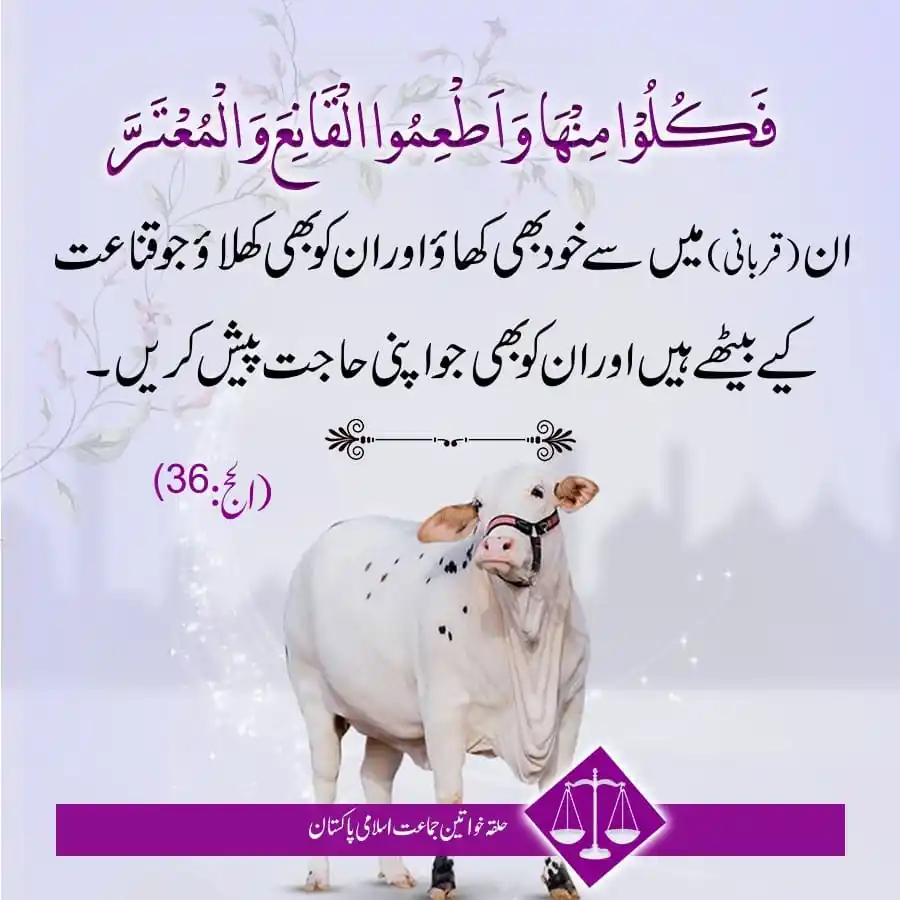 Image from Jamaat-e-Islami Pakistan Women's Wing: *عید مبارک* <a class="text-blue-500 hover:underline cursor-pointer" hr...