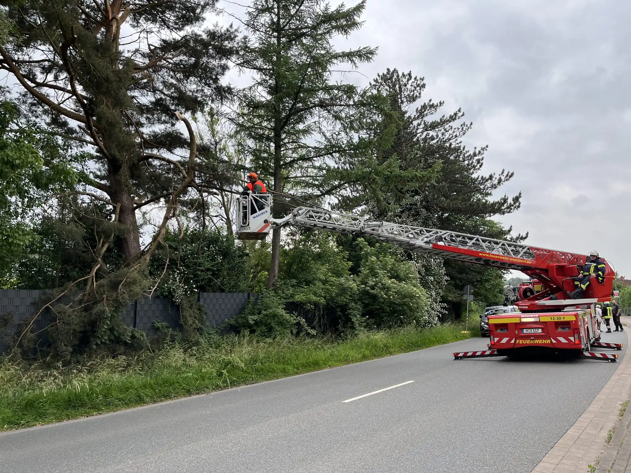 Image from Kreisfeuerwehr Schaumburg: Ast droht auf die Fahrbahn zu fallen.  Die Feuerwehr Hagenburg-Altenha...