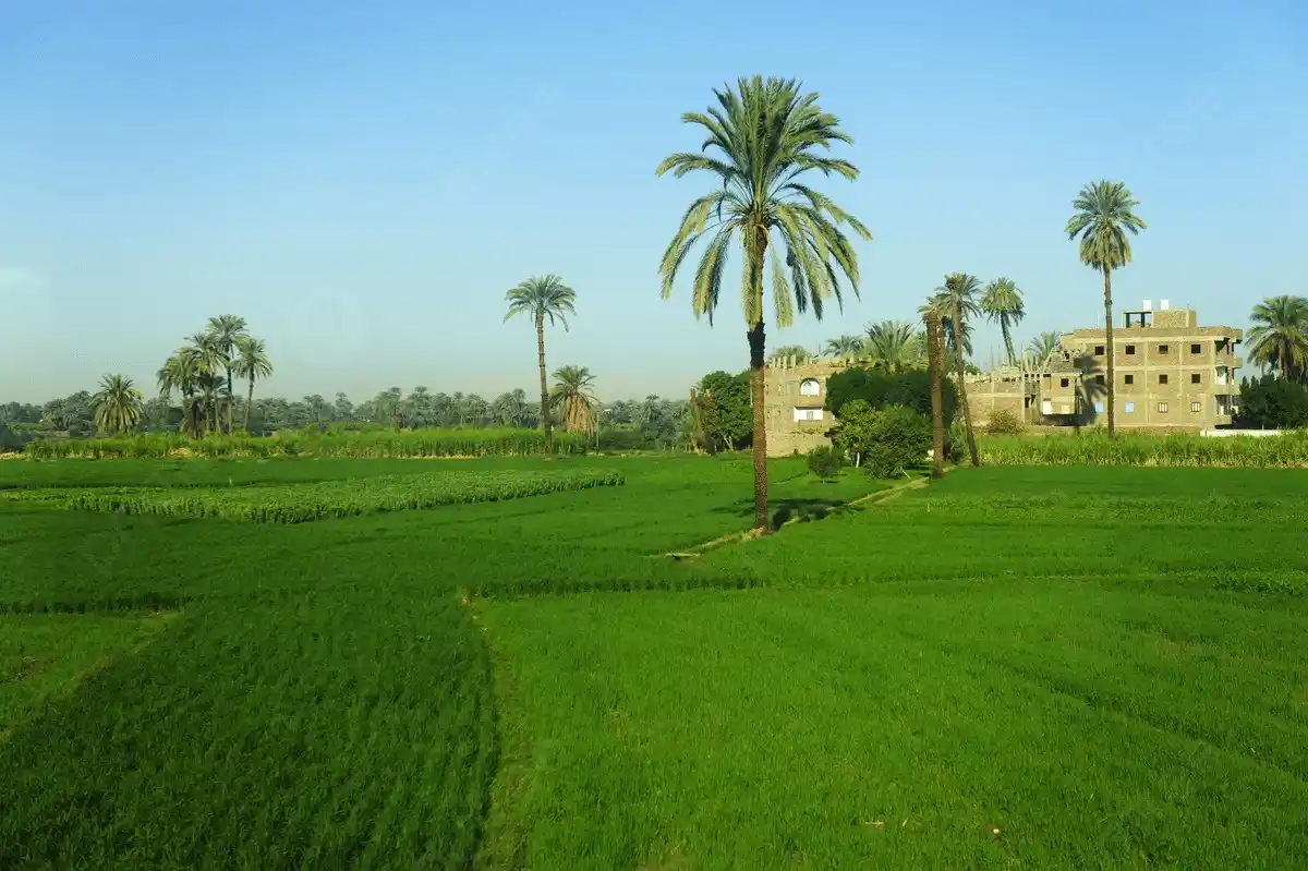 Image from خاص مصر: بدء تشغيل محطة جنوب بورسعيد الجديدة لخدمة 46 ألف فدان التفاصيل https:...