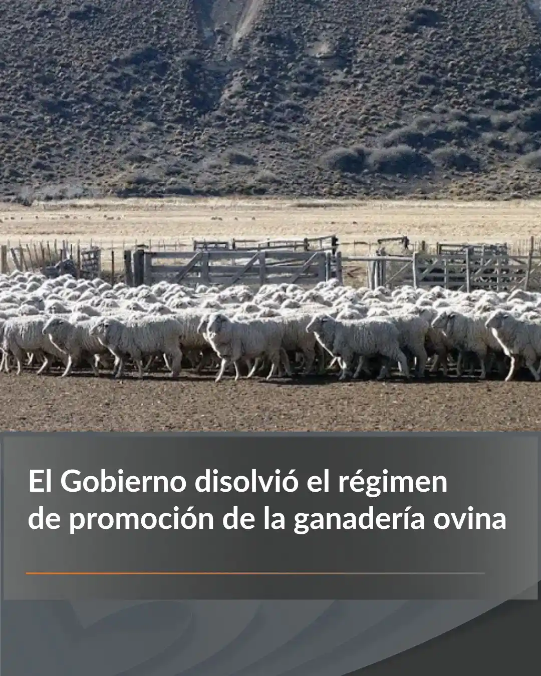 Image from El Diario WEB : 🪚 La “motosierra” desreguladora del Gobierno sigue encendida y sus *r...