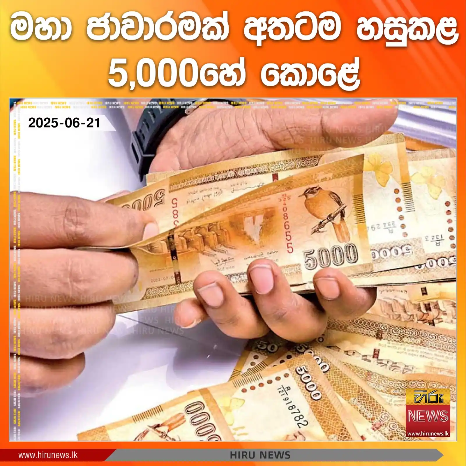 Image from Hiru News: *මහා ජාවාරමක් අතටම හසුකළ 5,000හේ කොළේ* Read more >>> https://hiru.lk...