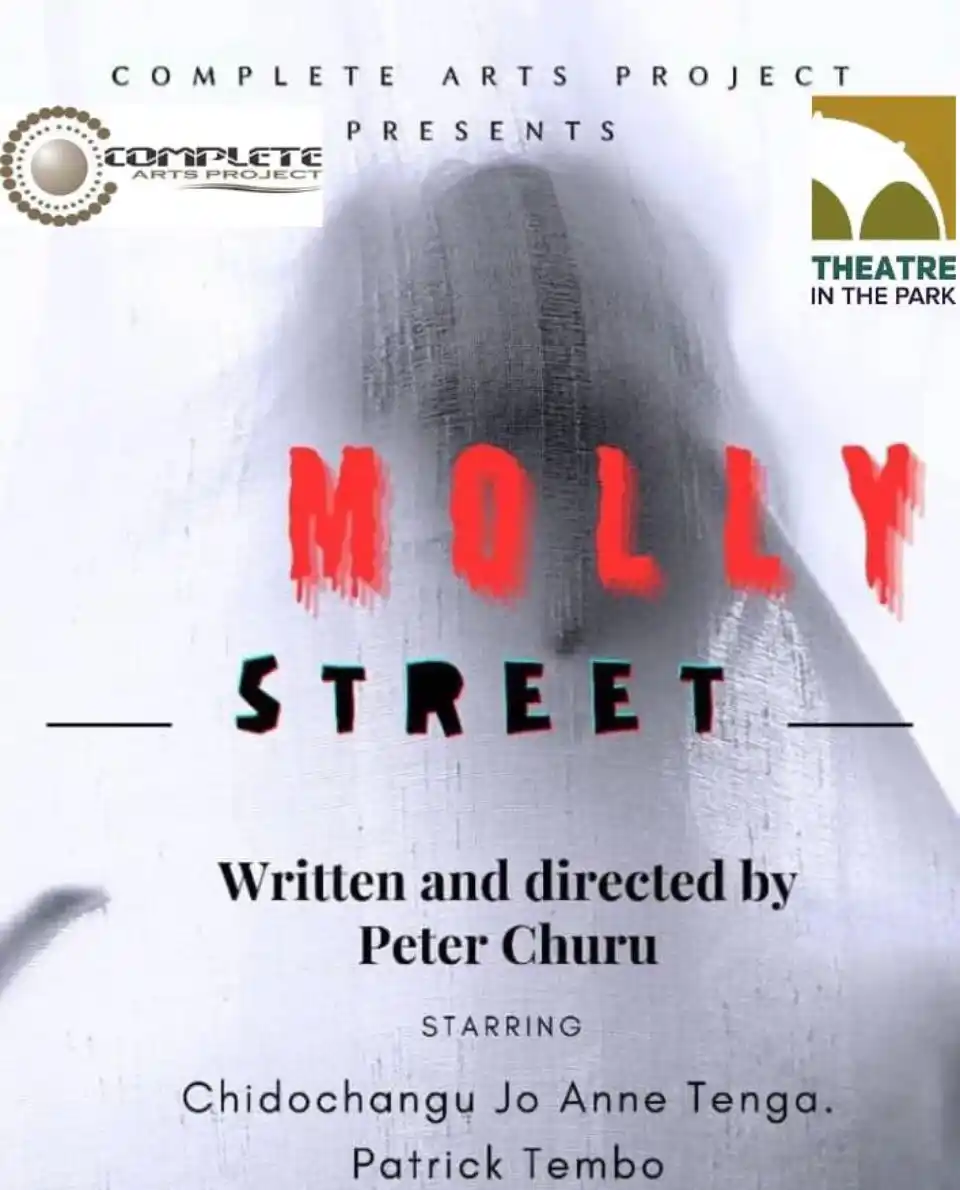 Image from ZBC News Online: THE National Arts Merit Awards nominated production, Molly Street, has...