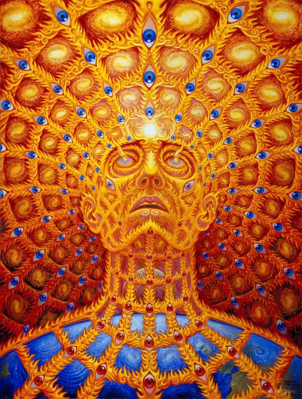 Image from THE ELIXIR TO THE MATRIX: To decalcify the pineal gland—your inner antenna, your divine receiver...