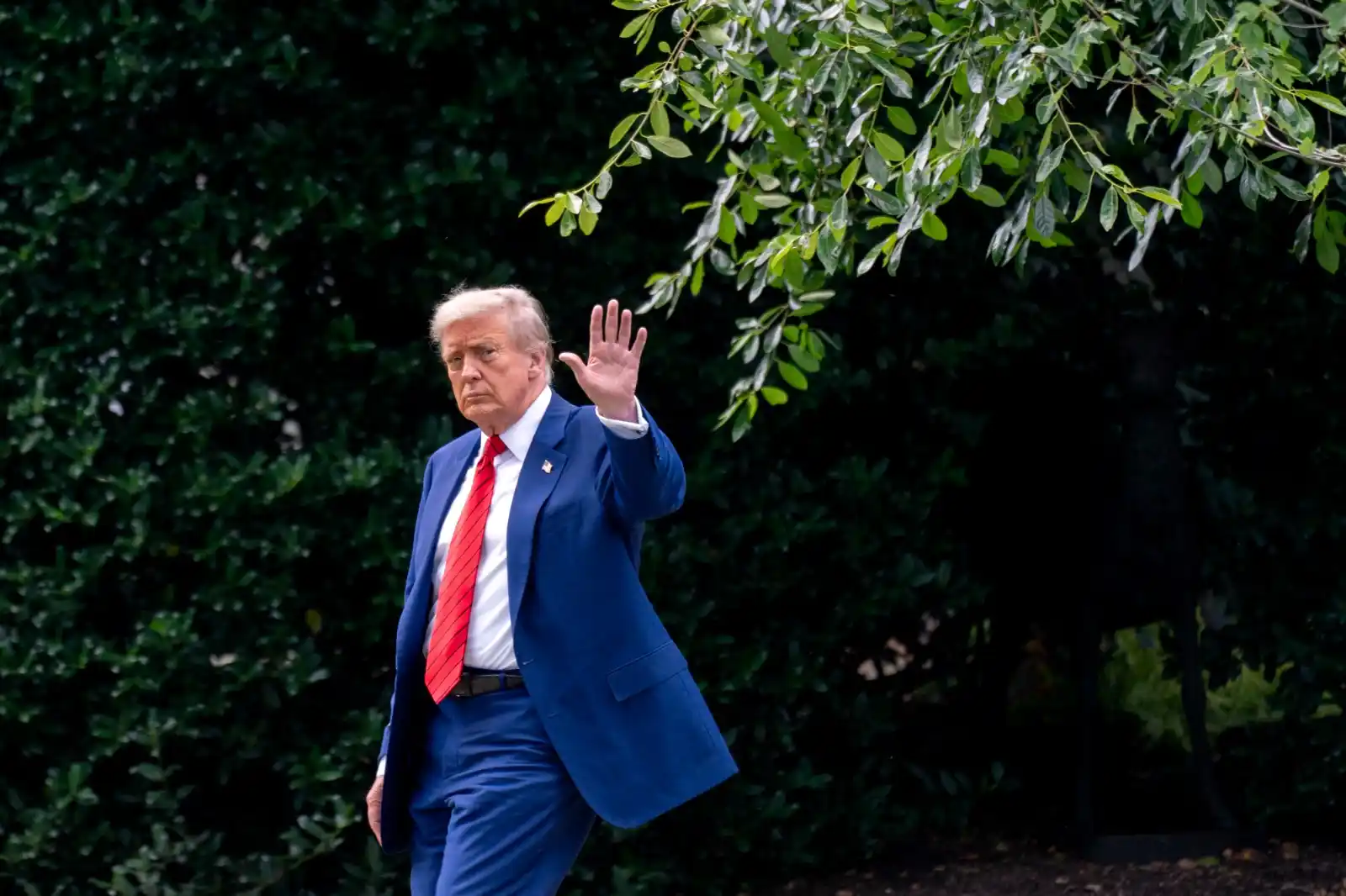 Image from elDiario.es: ‼️ *Trump se dirige directamente a España tras el rechazo de Pedro Sán...