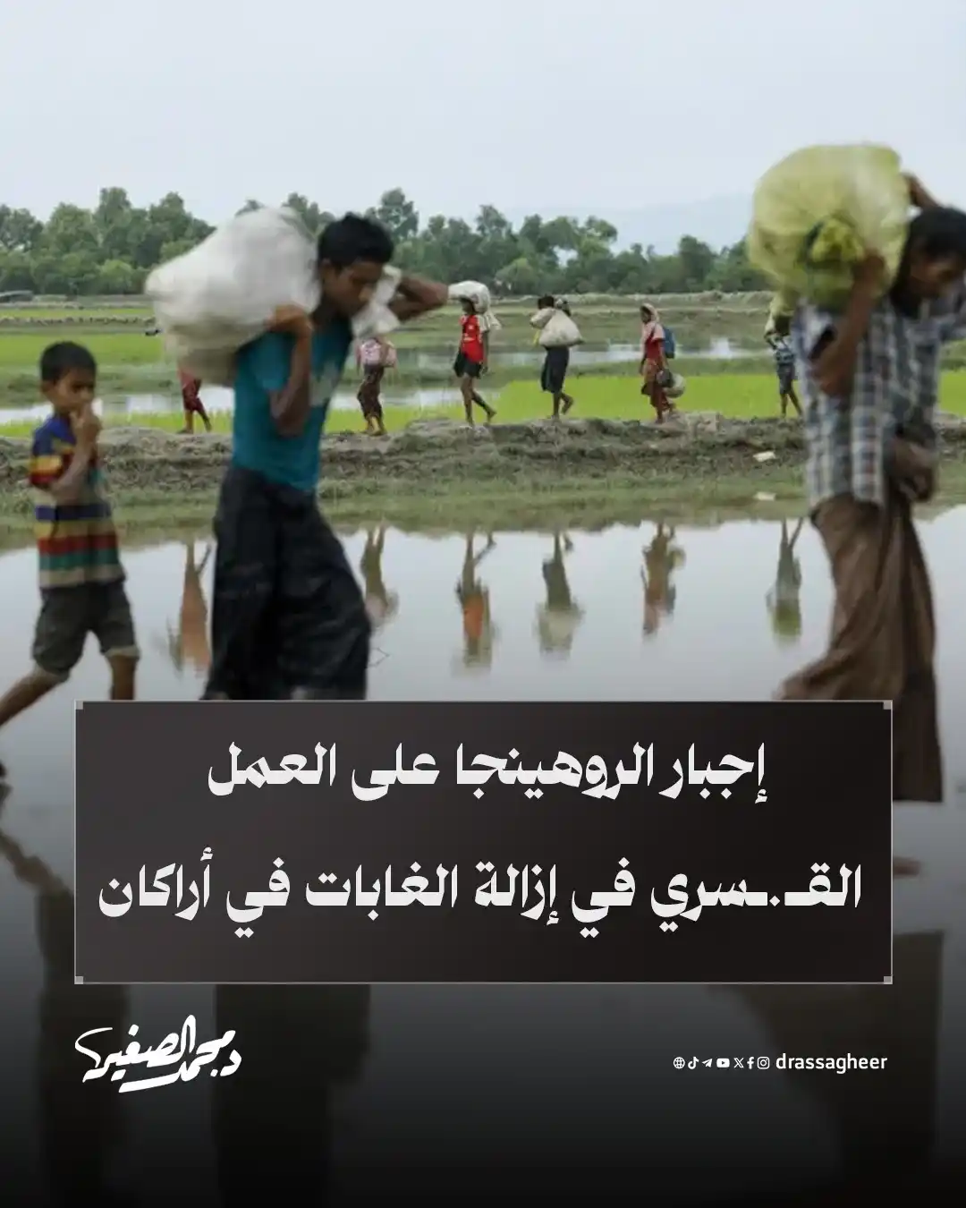 Image from الشيخ الدكتور محمد الصغير: تتعرض أقلية الروهينجا لمأساة مستمرة مع إجبار ملـ.ـيشيات أراكان المتطـ....