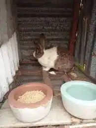 SK AGRIBUSINESS FIRM post