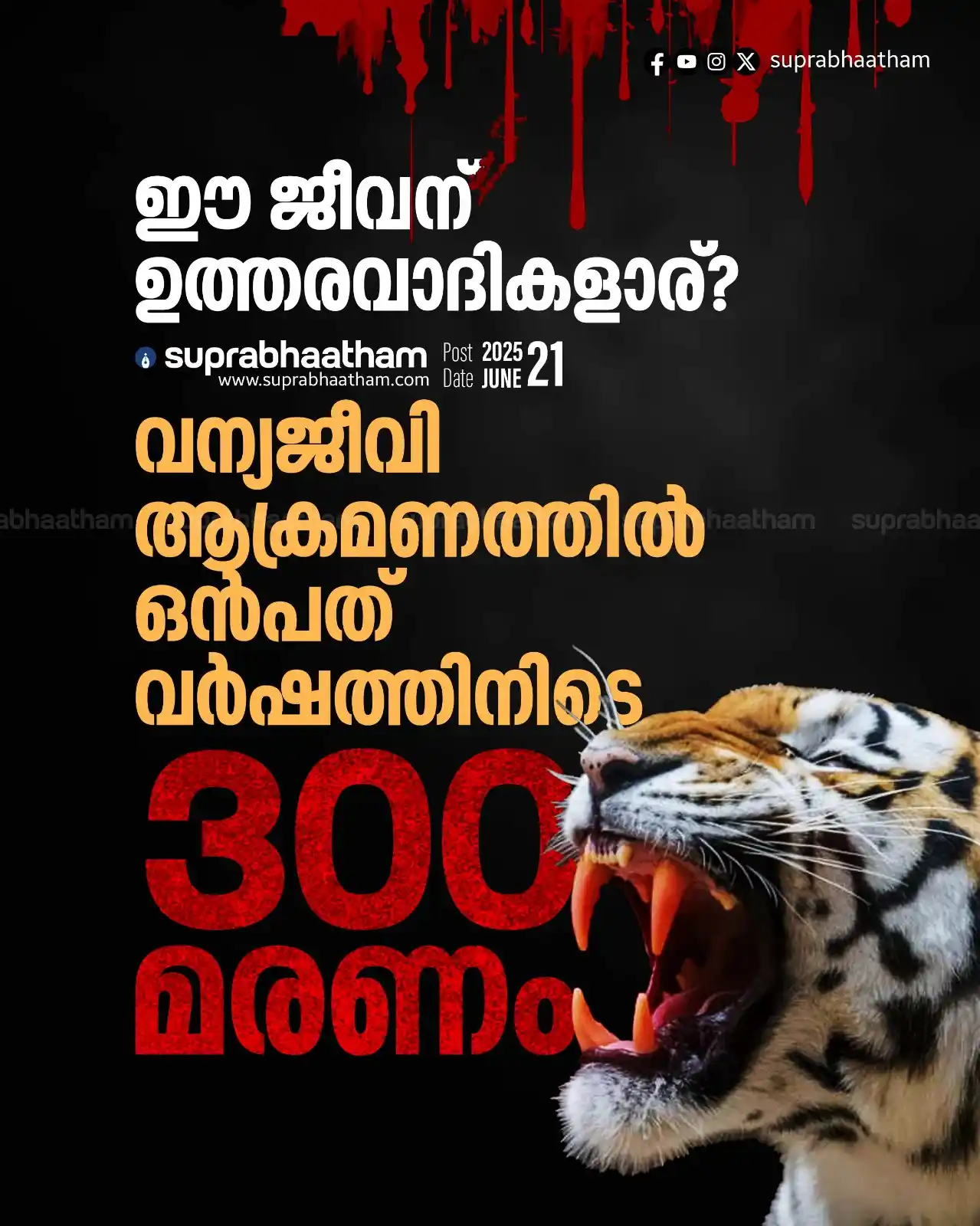 Image from SUPRABHAATHAM DAILY: *ഈ ജീവന് ഉത്തരവാദികളാര്? വന്യജീവി ആക്രമണത്തിൽ ഒൻപത് വർഷത്തിനിടെ 300 മര...