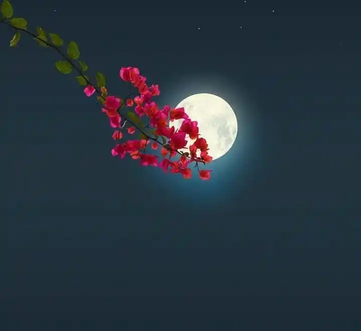 Ｑｕｅｅｎツ post