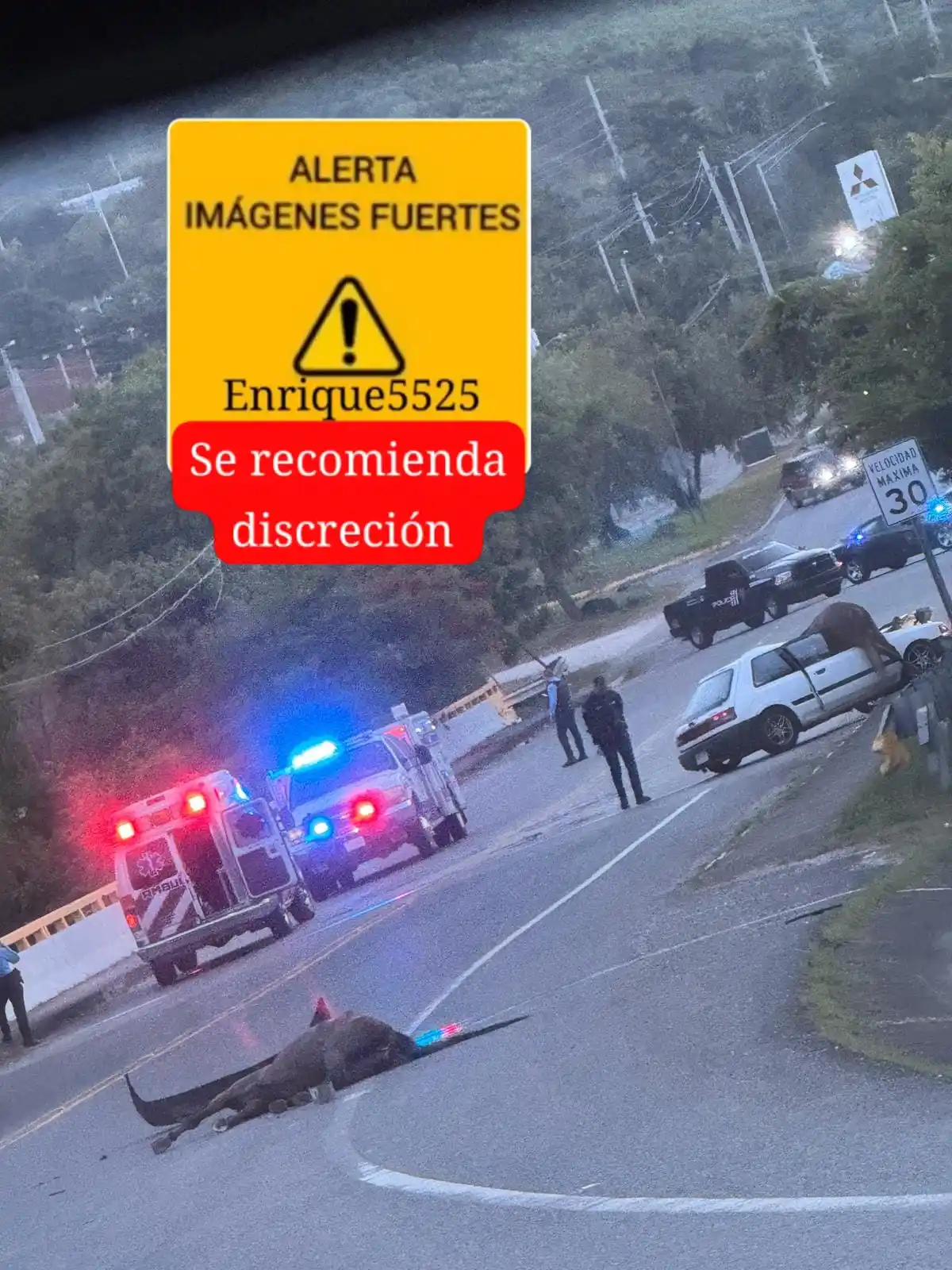 Image from Enrique 5525  News🌎 🇵🇷: <a class="text-blue-500 hover:underline cursor-pointer" href="/hashtag...