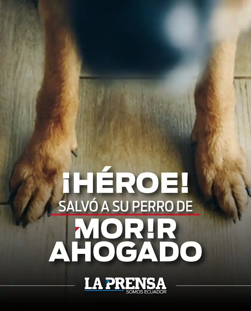 Image from La Prensa Ecuador: 🚨<a class="text-blue-500 hover:underline cursor-pointer" href="/hasht...