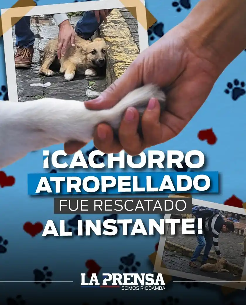 Image from La Prensa Ecuador: 🚨<a class="text-blue-500 hover:underline cursor-pointer" href="/hasht...