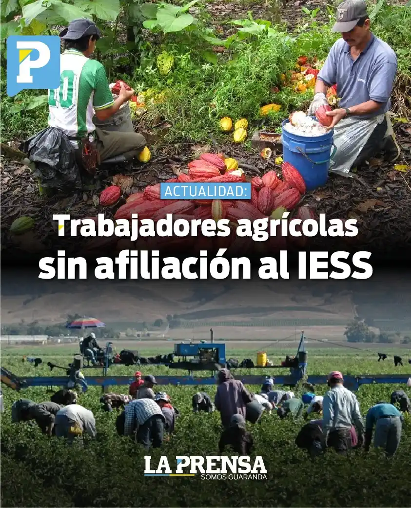 Image from La Prensa Ecuador: 🚨<a class="text-blue-500 hover:underline cursor-pointer" href="/hasht...