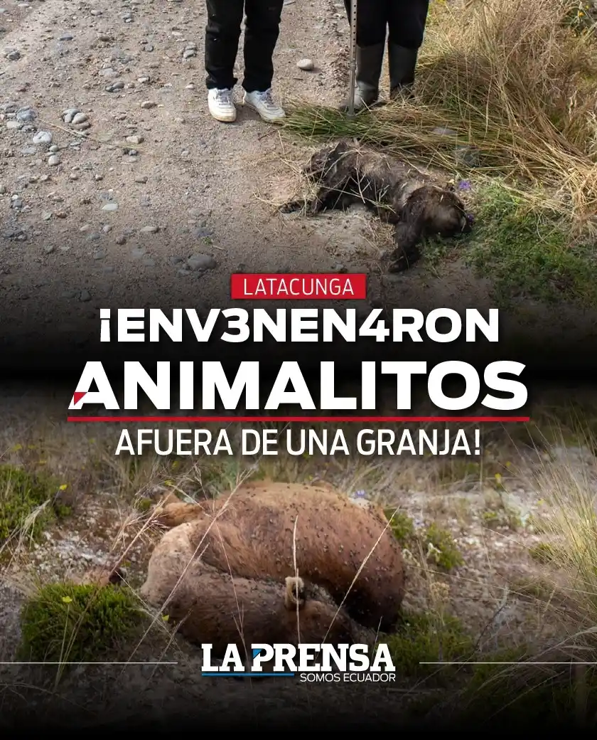 Image from La Prensa Ecuador: 🚨<a class="text-blue-500 hover:underline cursor-pointer" href="/hasht...