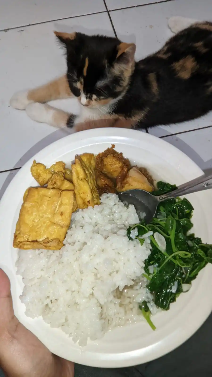 Image from DINIFESS 🐚: lupa masak nasi wkwk jd baru bisa mam skrg 😔 jgn lupa mam kalian 🤩👊...