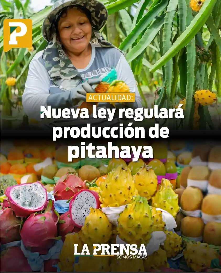 Image from La Prensa Ecuador: 📢<a class="text-blue-500 hover:underline cursor-pointer" href="/hasht...