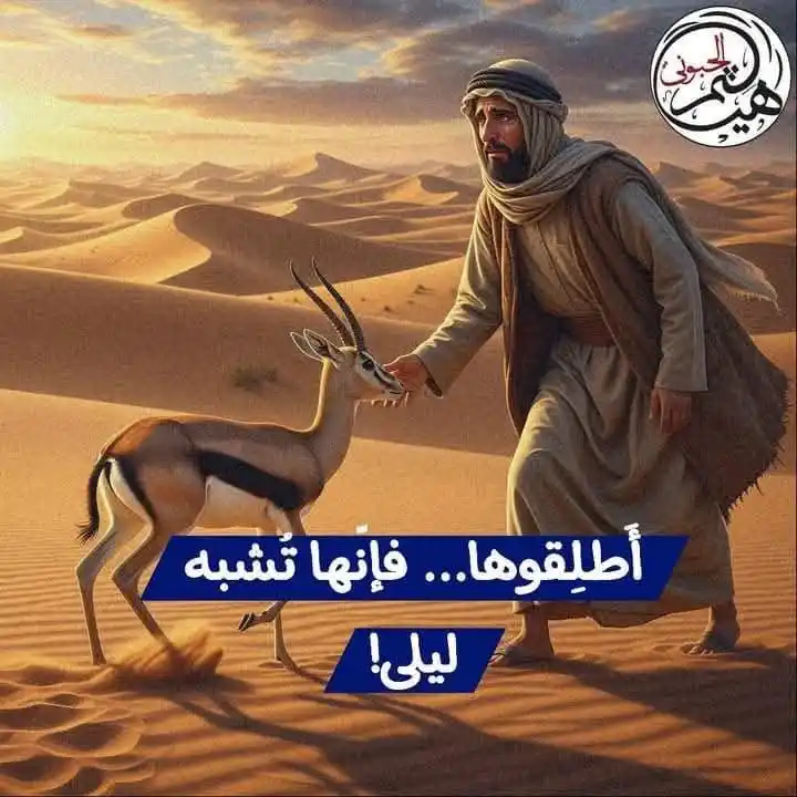 Image from صحيفة اليوم العمانية: ❝ أَطلِقوها... فإنّها تُشبه ليلى! ❞ قالها المجنون وقد لمَحَ في عيني ظب...