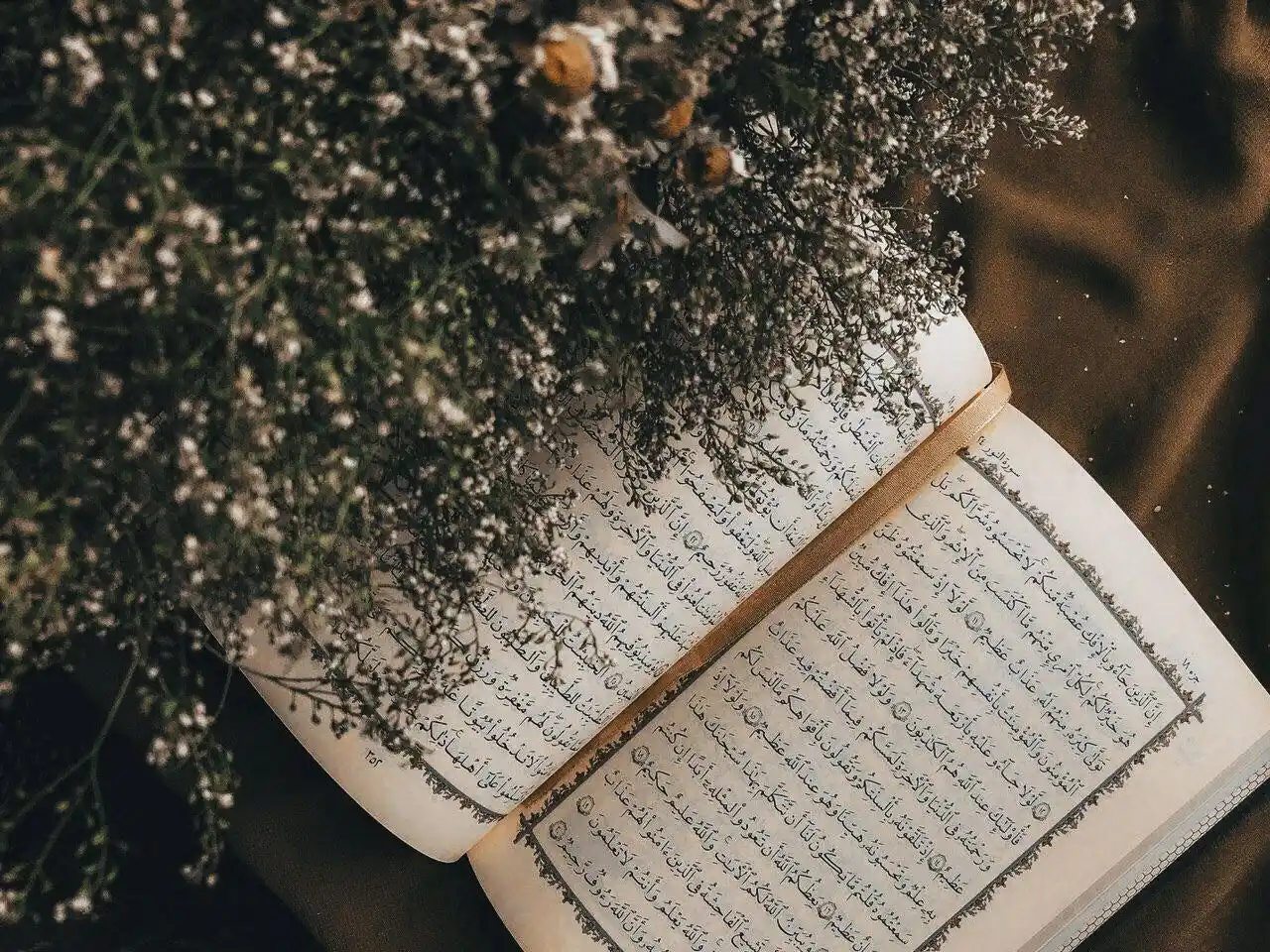 Image from أڪاديمية "يَرْجُونَ تِجَارَةً لَّن تَبُورَ": *حينَ تُتعِبُكَ الدنيـا وتنغلق عليكَ الأبواب ستجد حتماً في القرآن حلَّ...