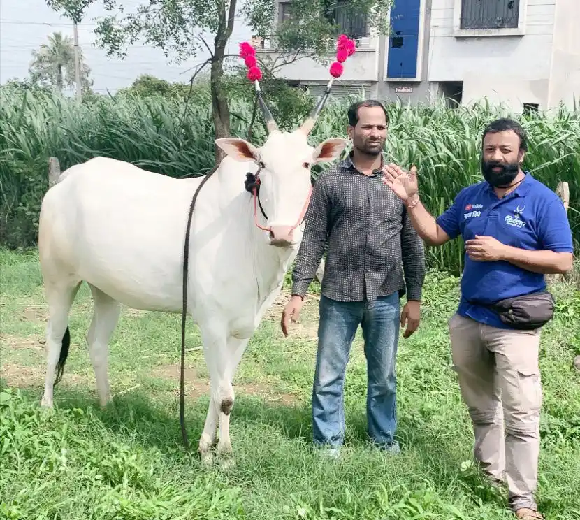 Khillar Maharashtrachi Shaan post