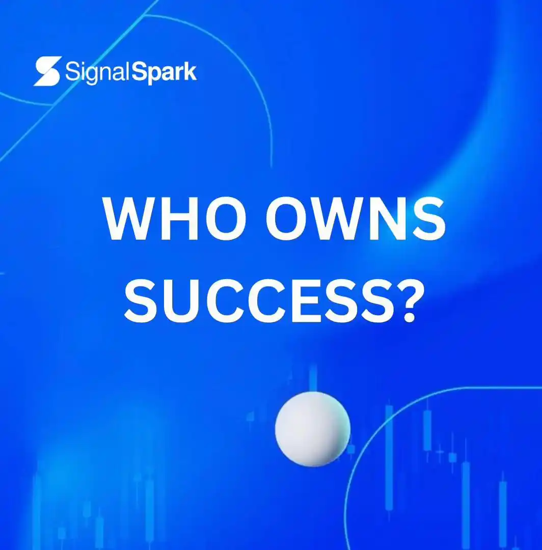 Signal Spark Academy post