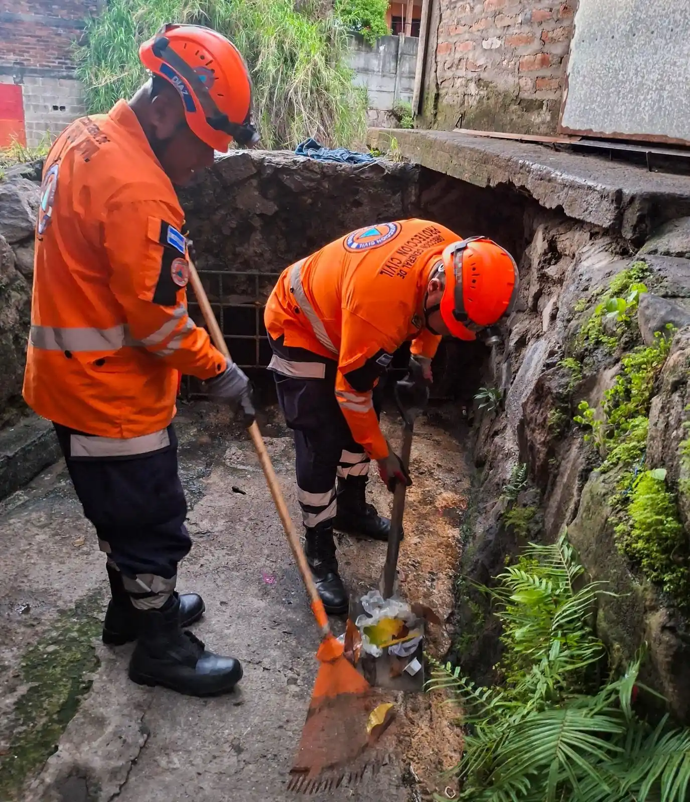 Image from Diario Digital Cronio: <a class="text-blue-500 hover:underline cursor-pointer" href="/hashtag...