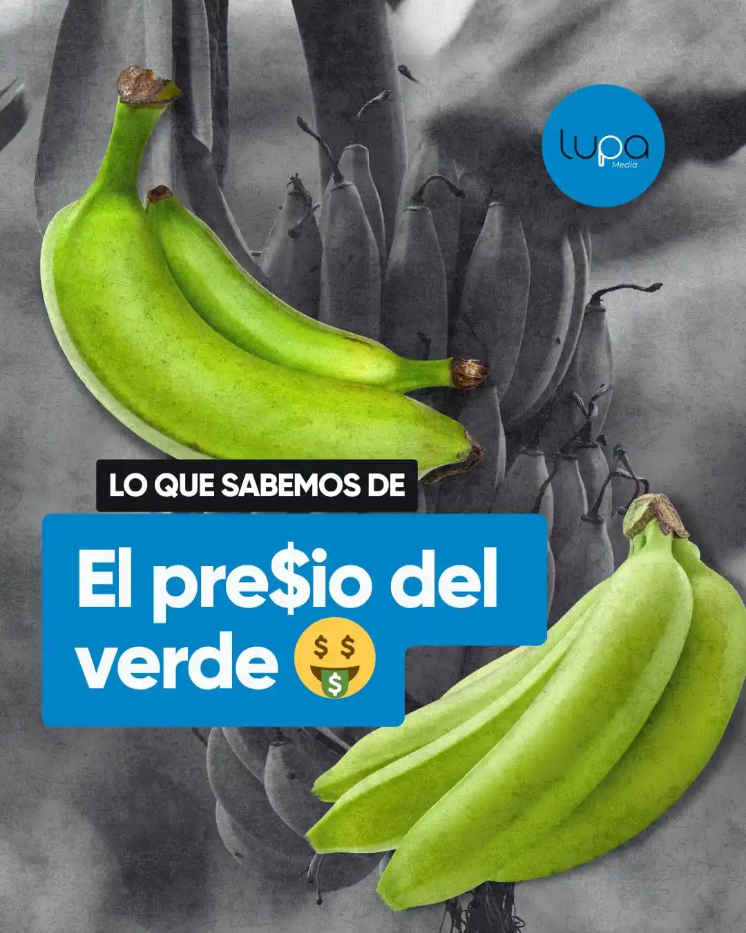 Image from Lupa Media: 🔍 _<a class="text-blue-500 hover:underline cursor-pointer" href="/has...